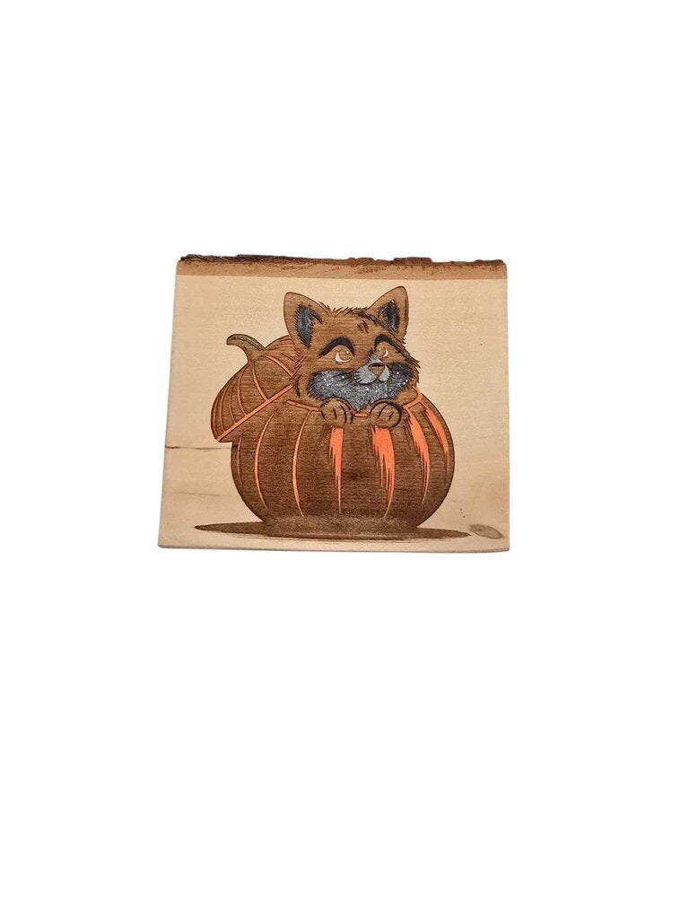 Pumpkin Cat