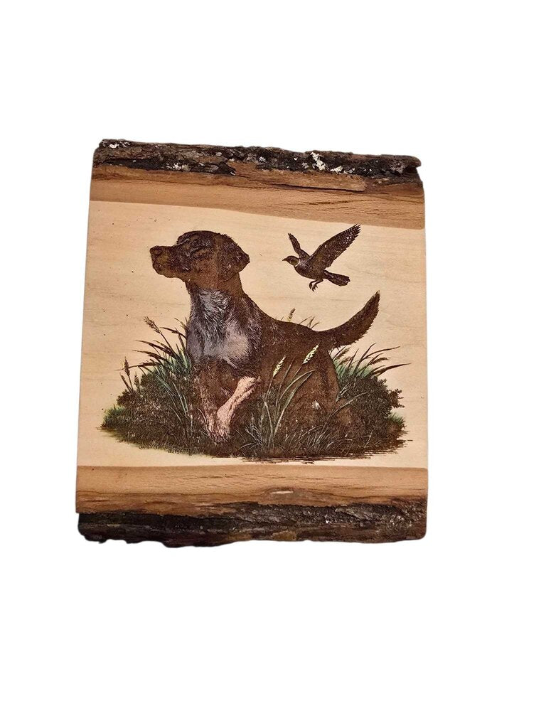 Hunting Dog