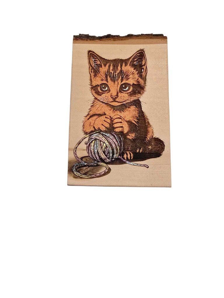Kitten w/yarn