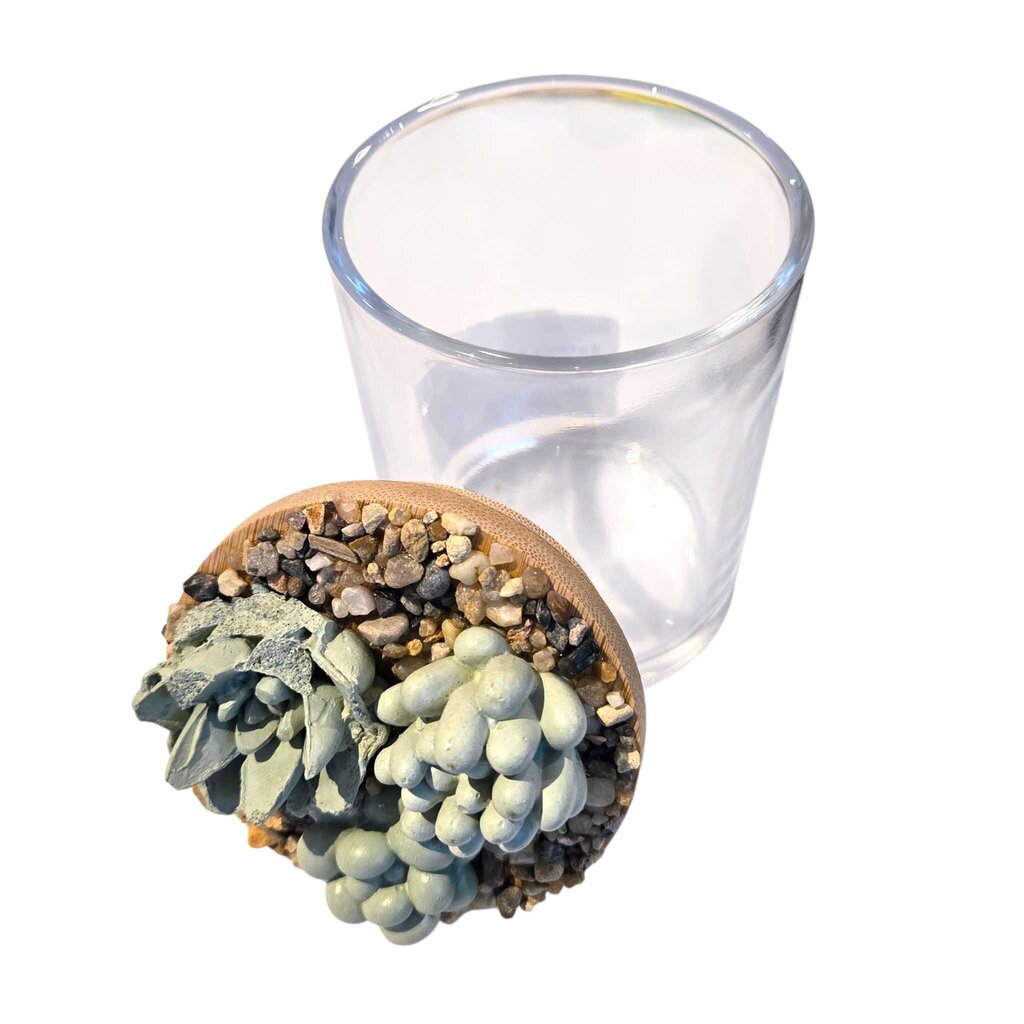Succulent Garden Jar - 7oz