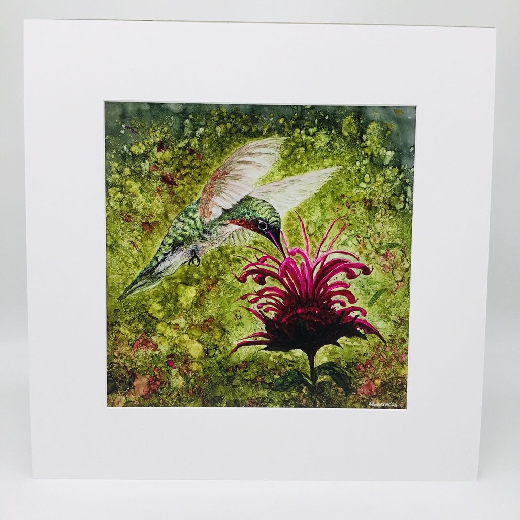 Print- 12x12 Hummer- matted to 18x18