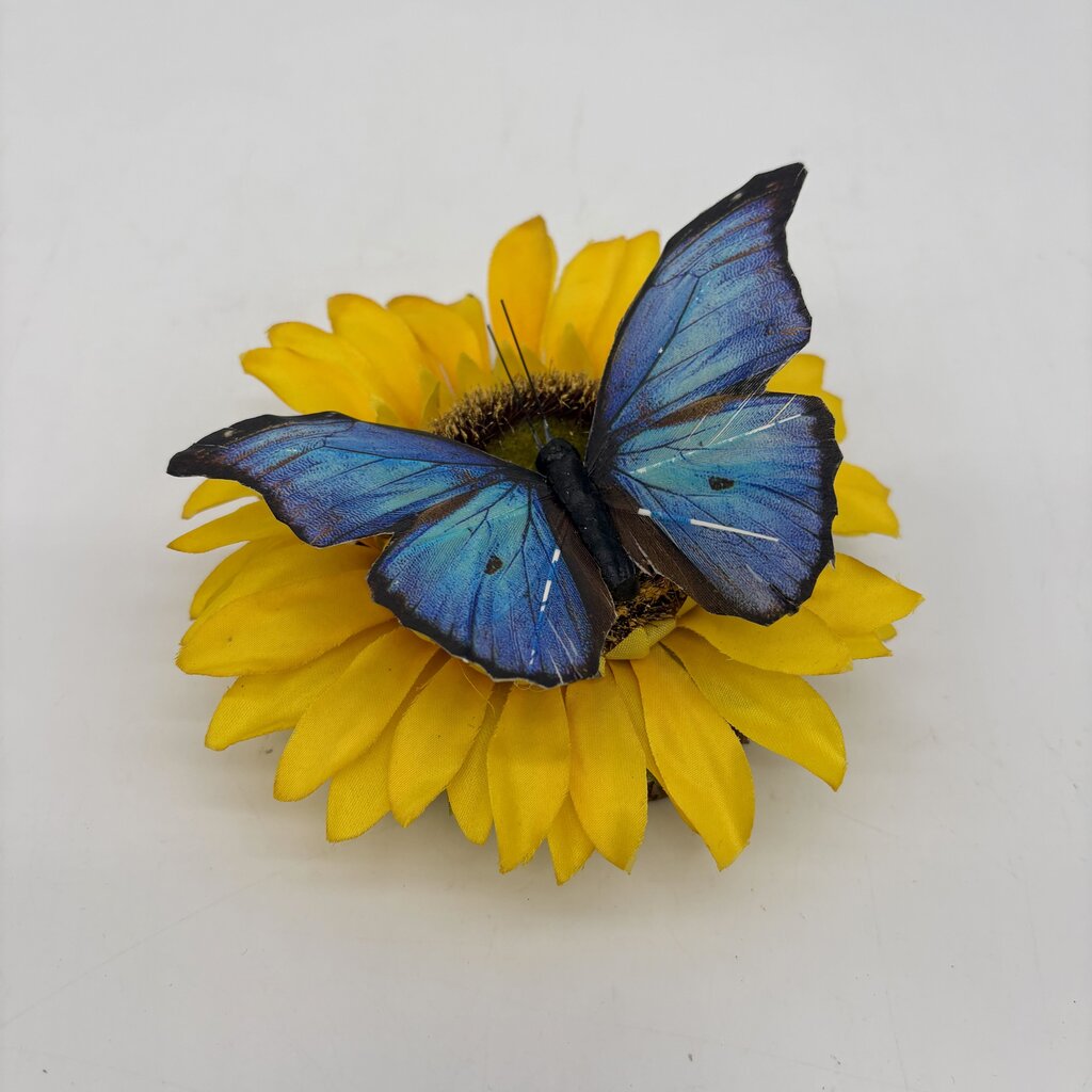 Butterfly on a Sunflower