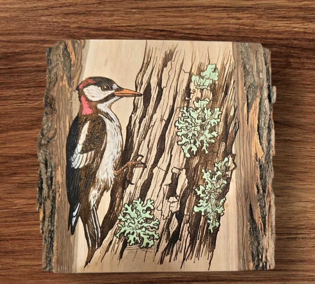 Woodpecker on Walnut