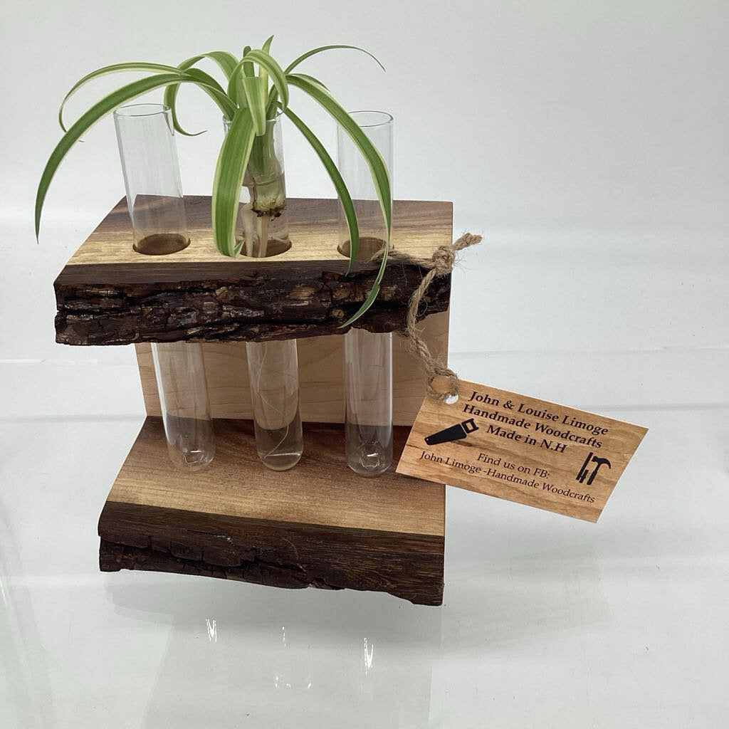 Wooden Plant Propagation Station-3 tube with plant