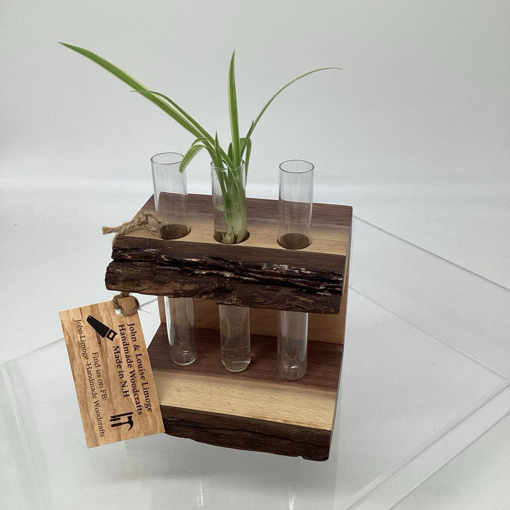 Wooden Plant Propagation Station-3 tube with plant