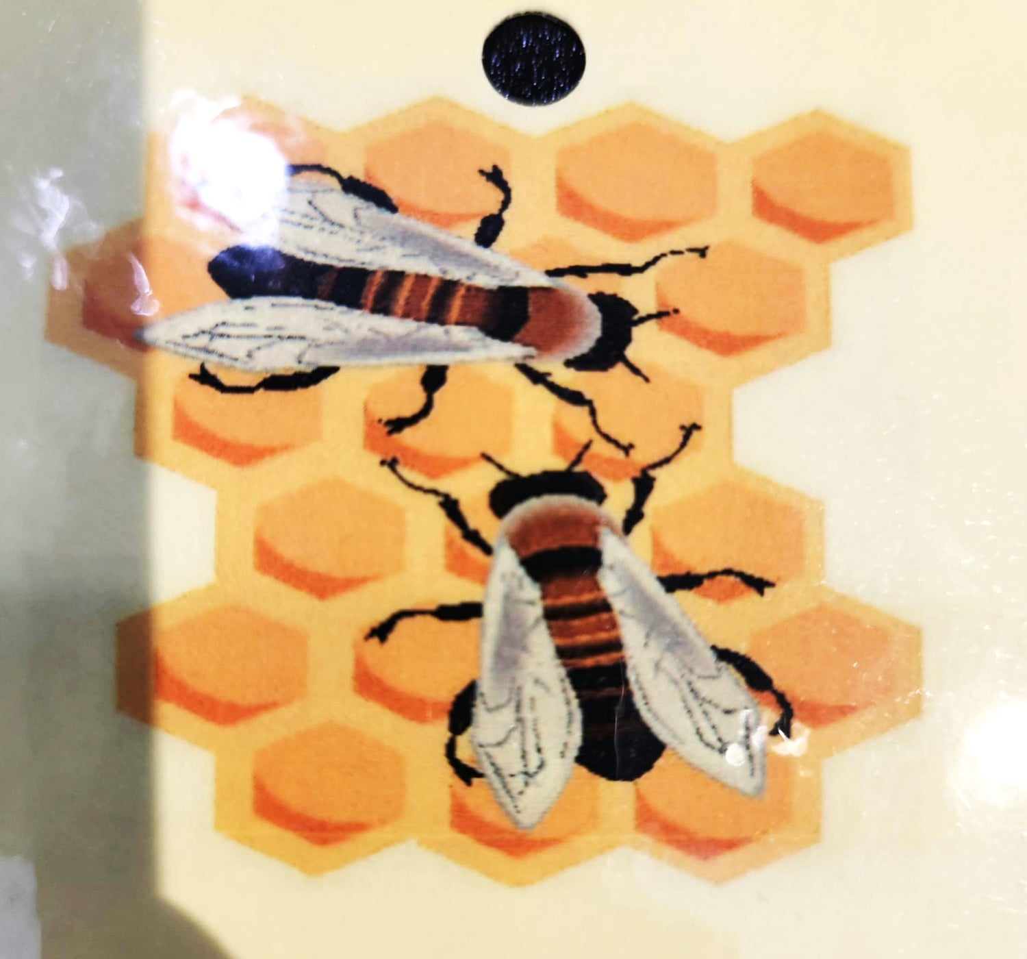 Buzz 'N Bee Apiary