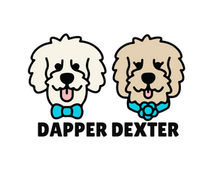 Collection image for: Dapper Dexter