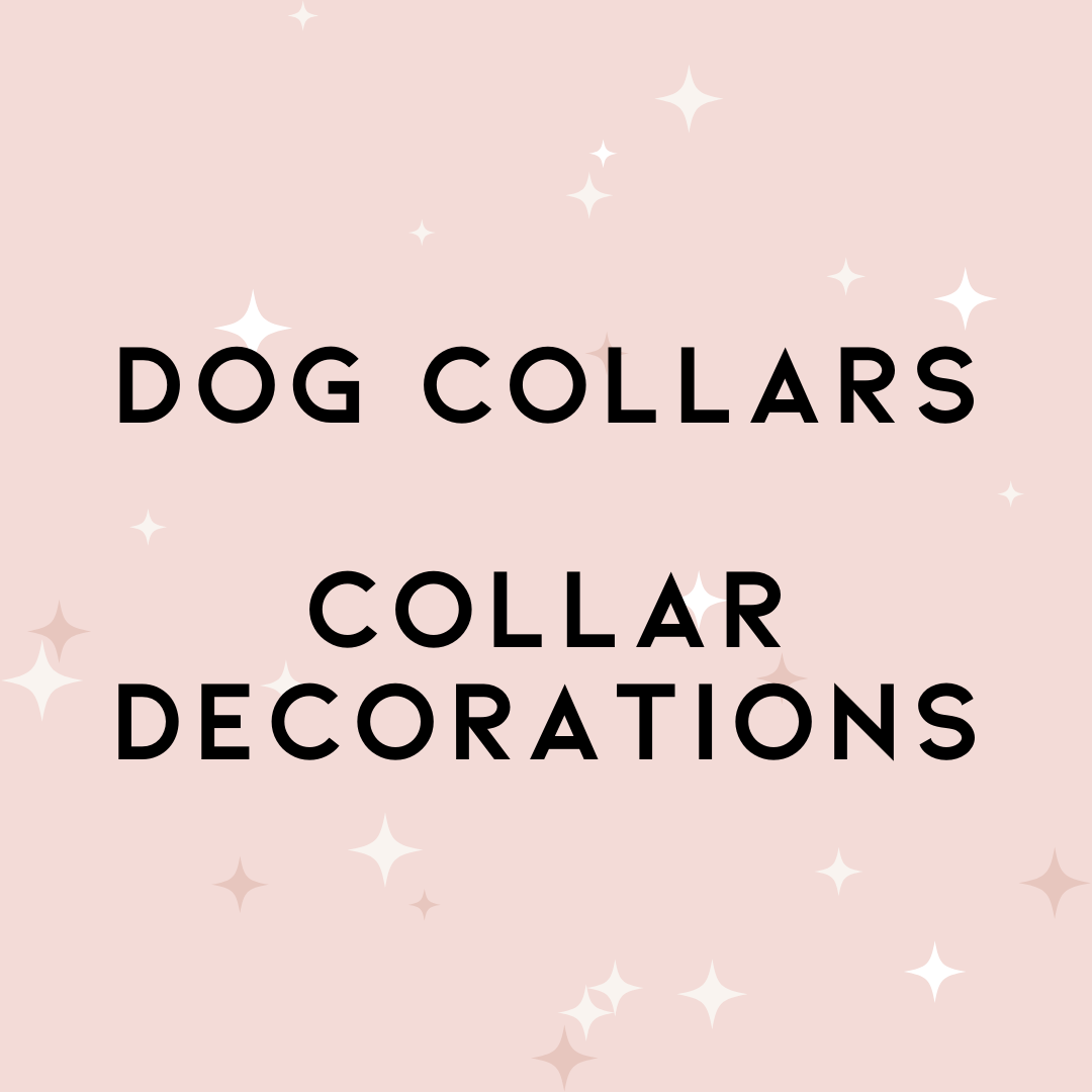 Dog Collars & Collar Decorations