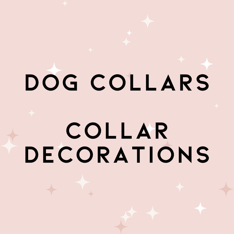 Dog Collars & Collar Decorations
