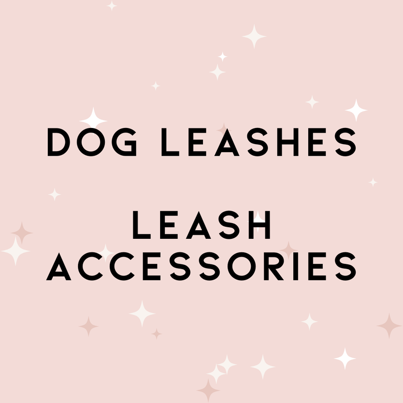 Dog Leashes & Accessories