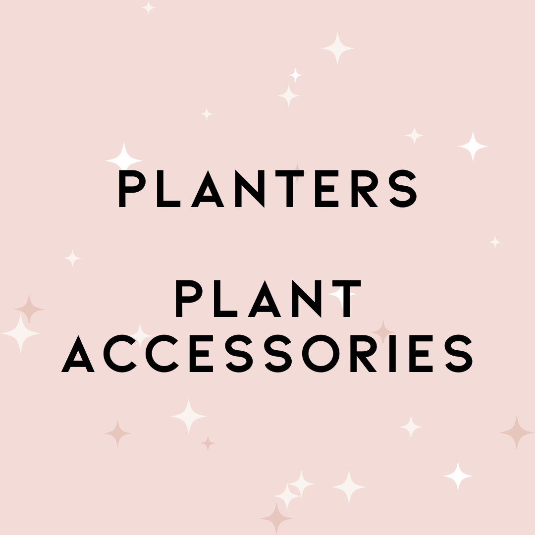Planters & Plant Accessories