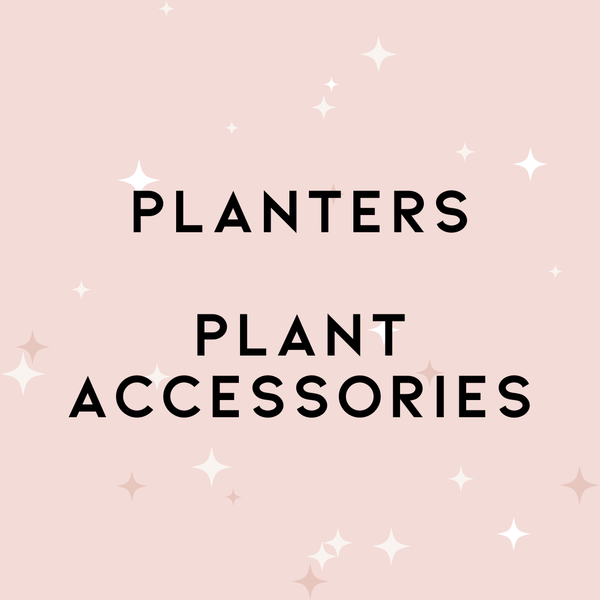Planters & Plant Accessories