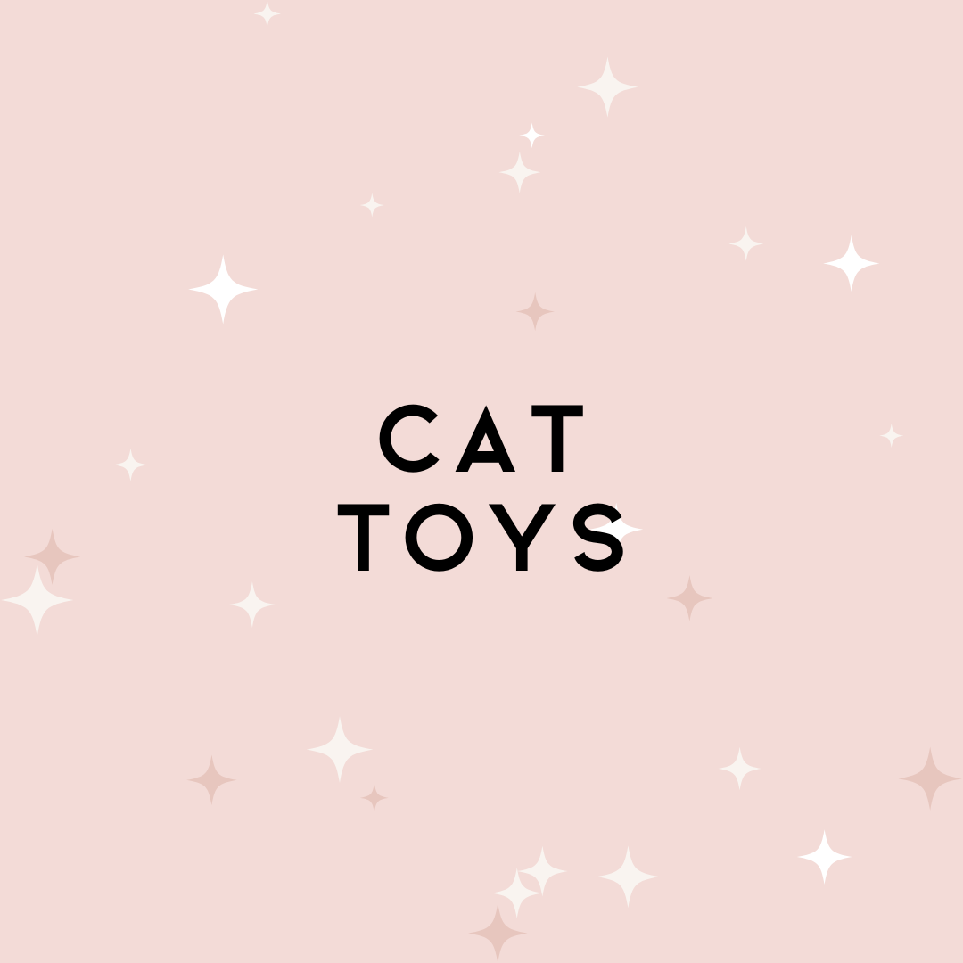 Cat Toys
