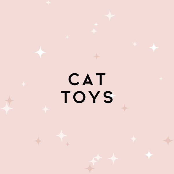 Cat Toys
