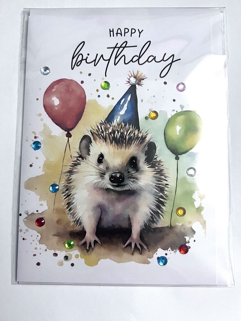 Happy Birthday Hedgehog