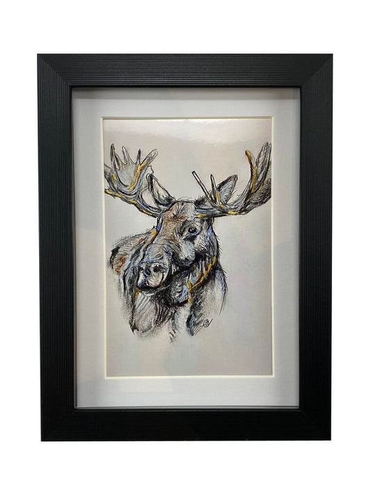 5 x 7 Moose framed photo print.