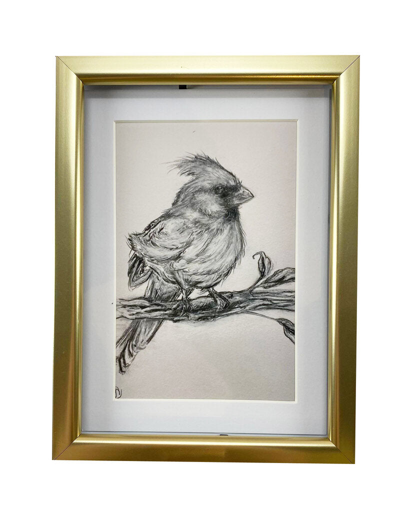 5 x 7 Inch Framed Cardinal Photo Prints