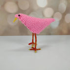 Pink with yellow and red legs