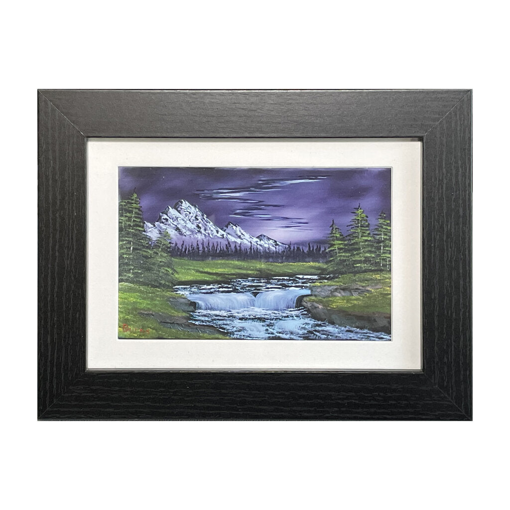 #74-1 Arctic Beauty framed print 5"x7" black frame / 4"x6" print