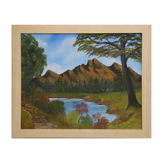 BROWN MOUNTAIN LAKE 19 oil on canvas 16"x20" with a beige frame by MFB Studios LLC