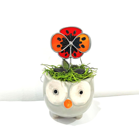 Pansy Owl pot