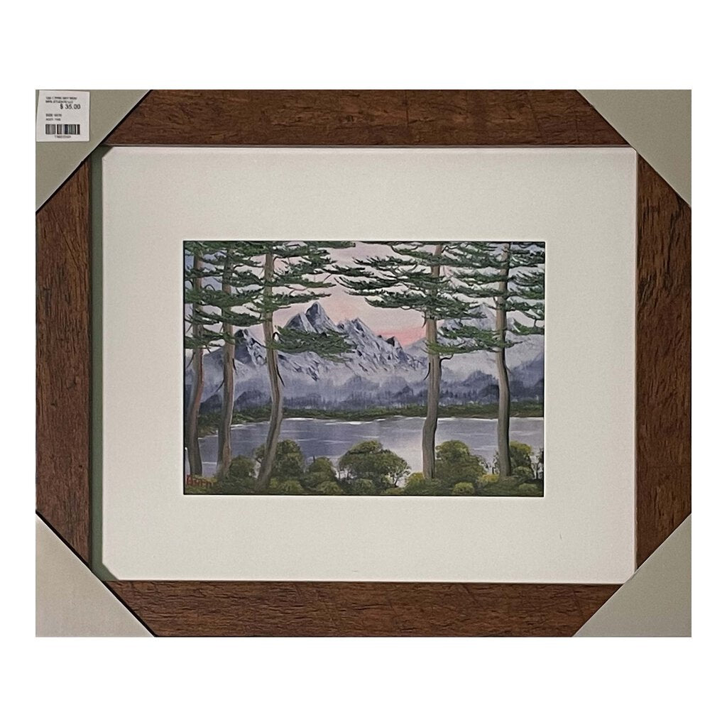 #129-1 PINK SKY MOUNTAINS framed print 8"x10" brown frame / 5"x7" print