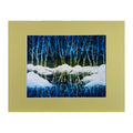 #159-1 SNOWY BIRCH TREES I matted print