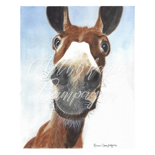 DONKEY 8X10 ART BY KAREN CAMPAGNA ARTBYKARENCAMPAGNACOM