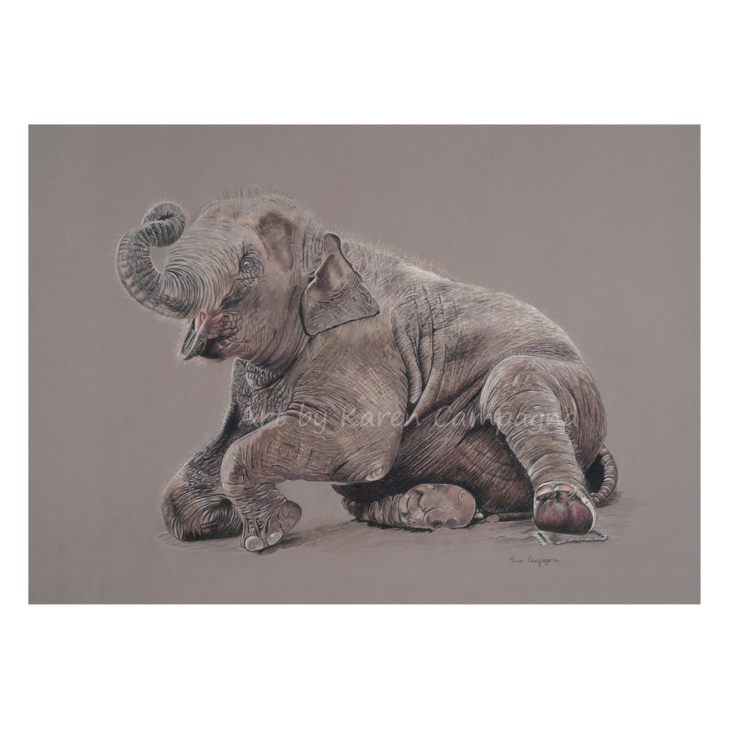 BABY ELEPHANT 11X14 ART BY KAREN CAMPAGNA ARTBYKARENCAMPAGNACOM