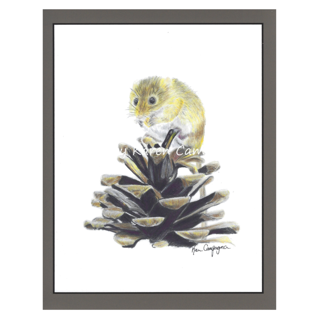 MOUSE ON PINECONE GREETING CARDS ART BY KAREN CAMPAGNA ARTBYKARENCAMPAGNACOM