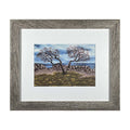 #169-2 Seacoast, Rye, NH framed print 8"x10" gray frame / 5"x7" print