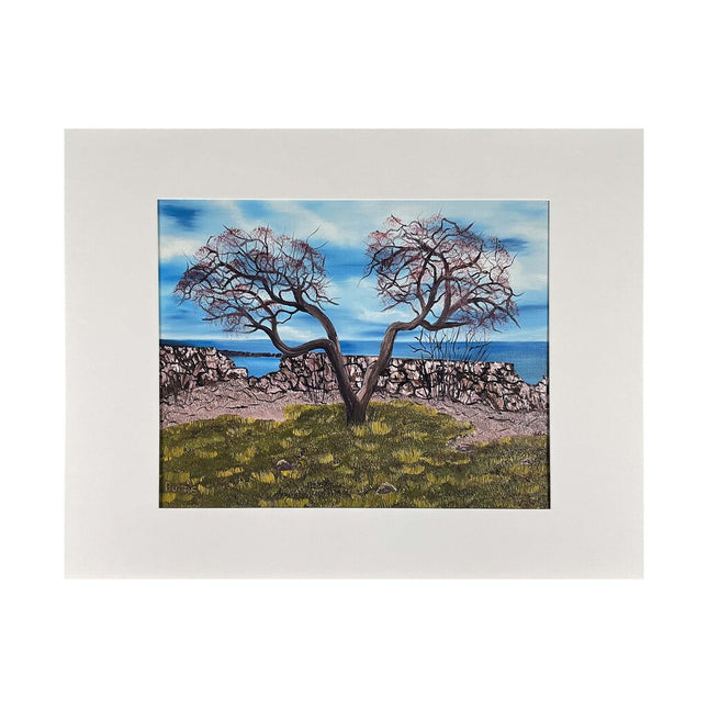 #169-4 Seacoast, Rye, NH 11"x14" matte / 8"x10" print