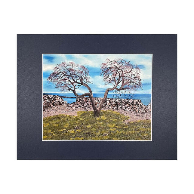 #169-5 Seacoast, Rye, NH 11"x14" matte / 8"x10" print