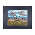 #169-5 Seacoast, Rye, NH 11"x14" matte / 8"x10" print