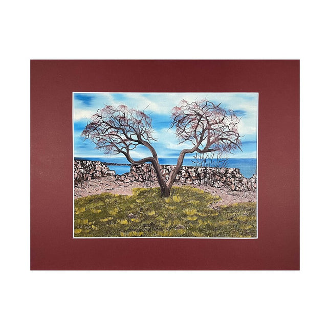 #169-6 Seacoast, Rye, NH 11"x14" matte / 8"x10" print