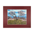 #169-6 Seacoast, Rye, NH 11"x14" matte / 8"x10" print