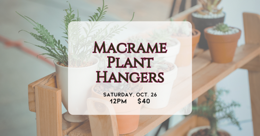 10/26 Macrame Plant Hangers