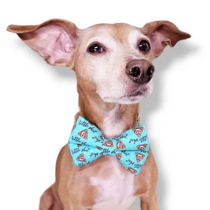 Little Sh*t - Dog Bow Tie