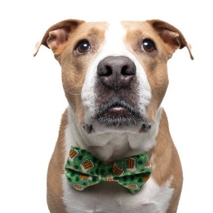 Green Shamrocks and Beer - Dog Bow Tie