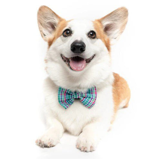 Green & Purple Plaid - Dog Bow Tie