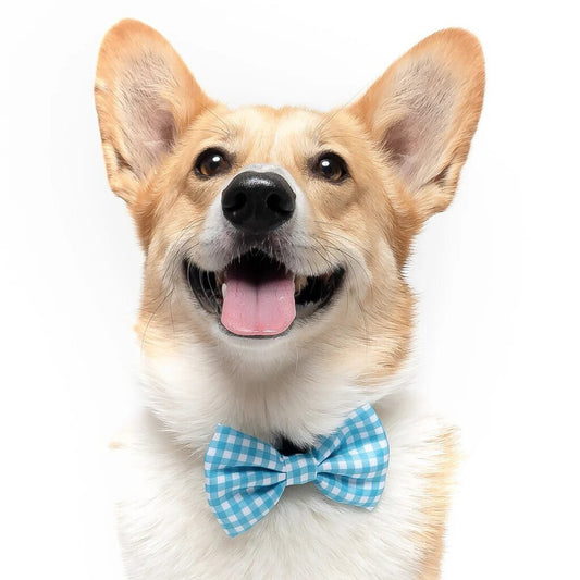 Light Blue Gingham - Dog Bow Tie