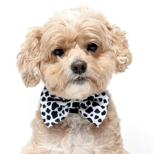 Moo Cow - Dog Bow Tie