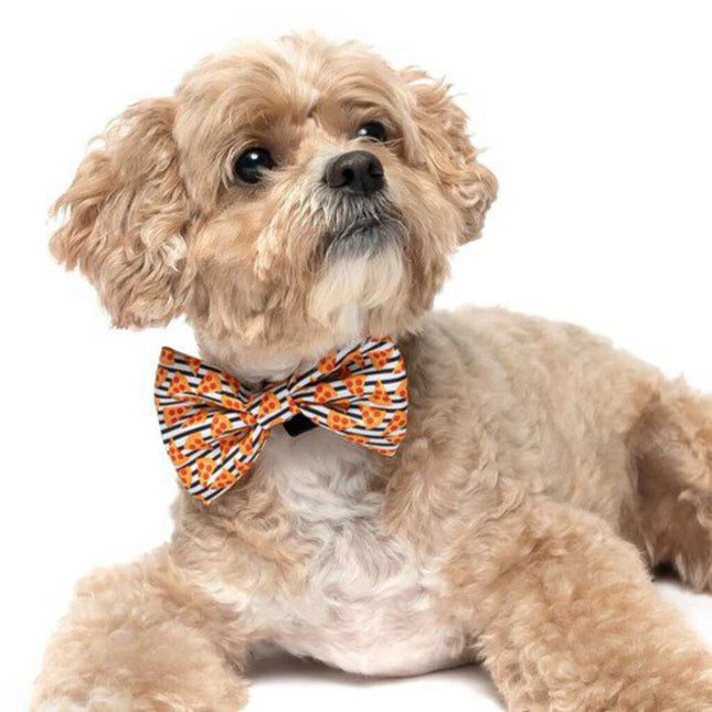Pizza with Stripes - Dog Bow Tie