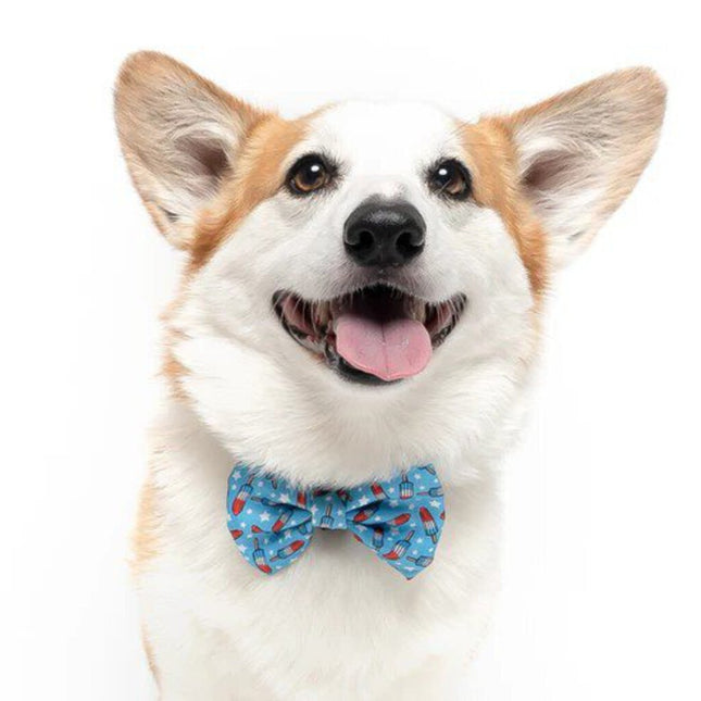Rocket Pops - Dog Bow Tie