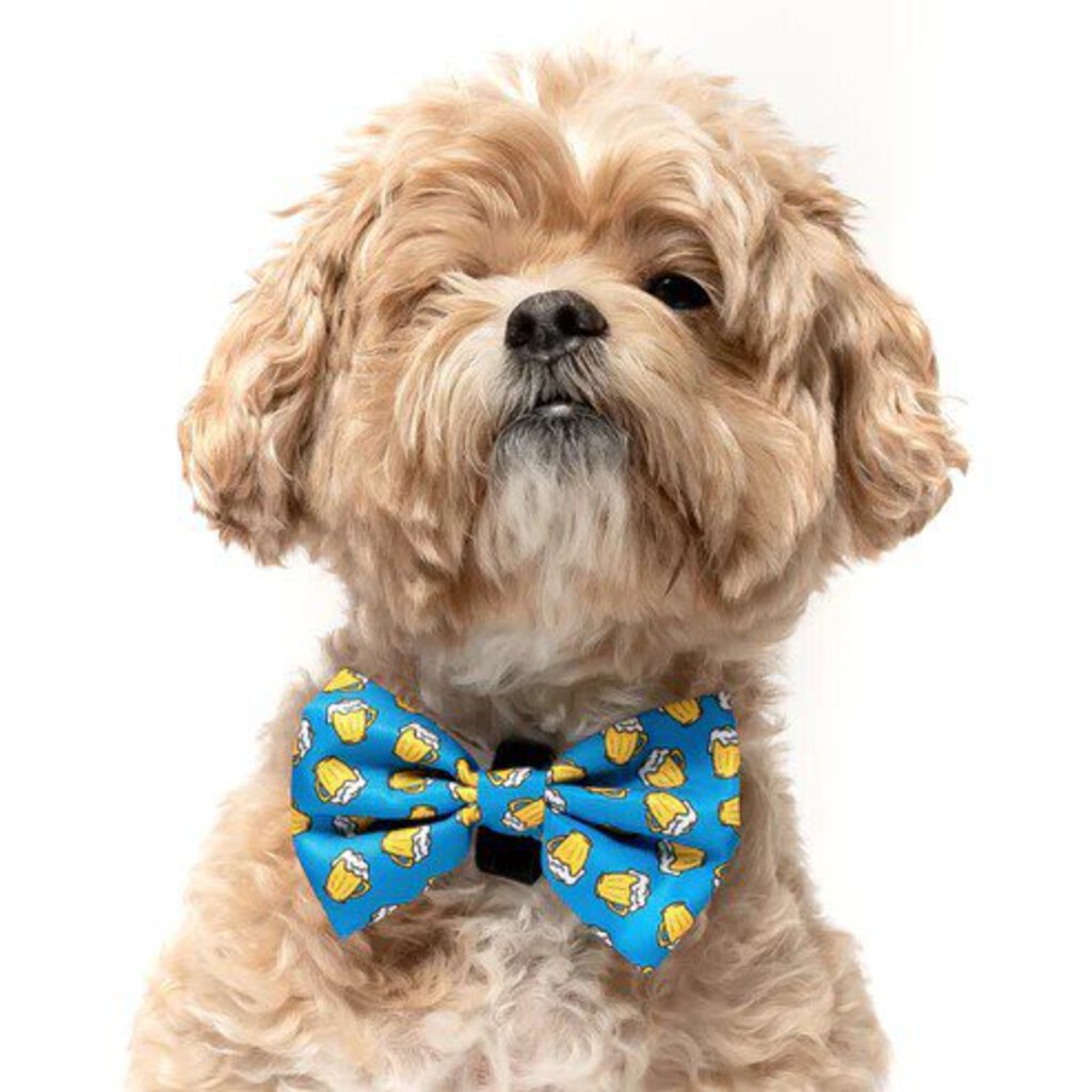 Royal Blue Beer - Dog Bow Tie