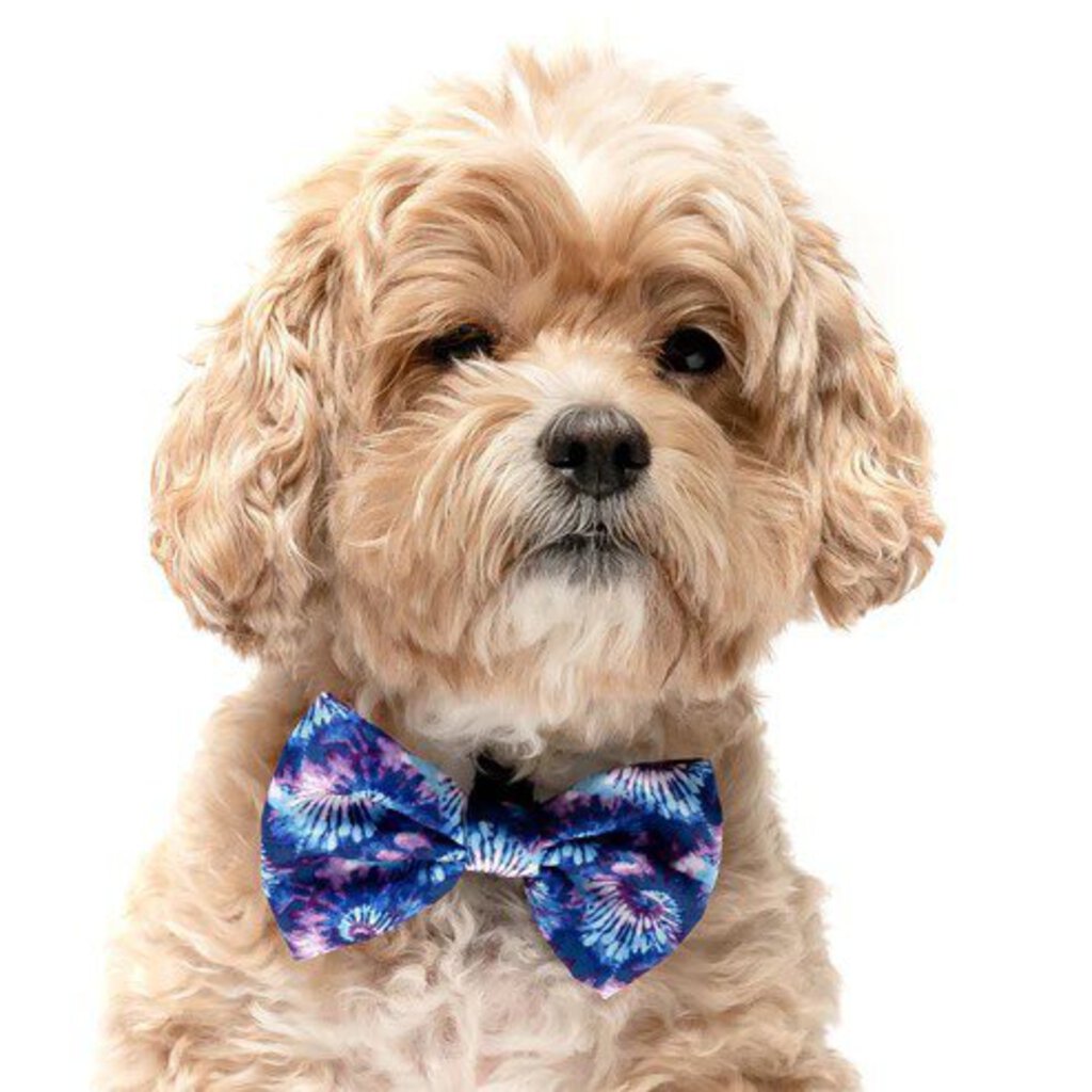 Purple & Royal Blue Tie Dye - Dog Bow Tie