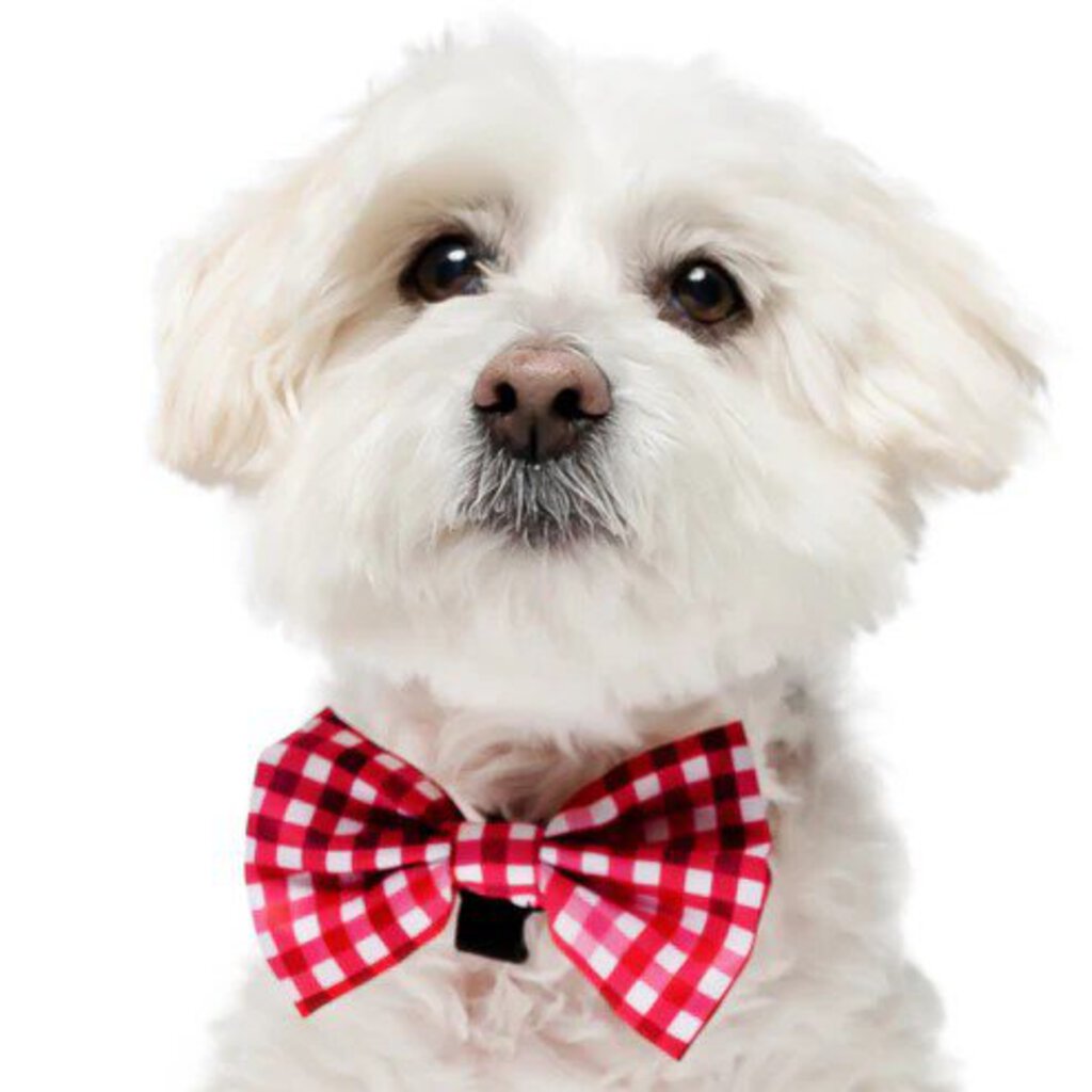 Sweetheart Plaid - Dog Bow Tie