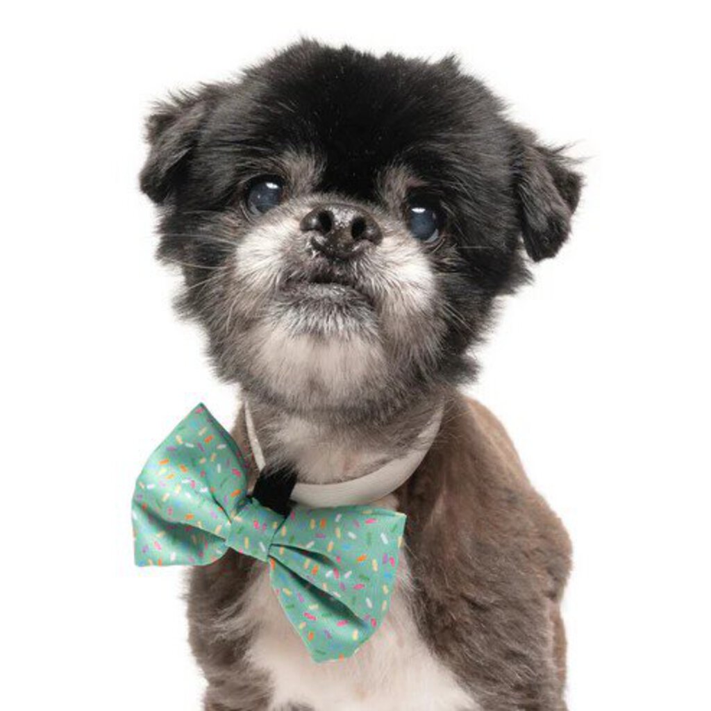 Green Sprinkles - Dog Bow Tie