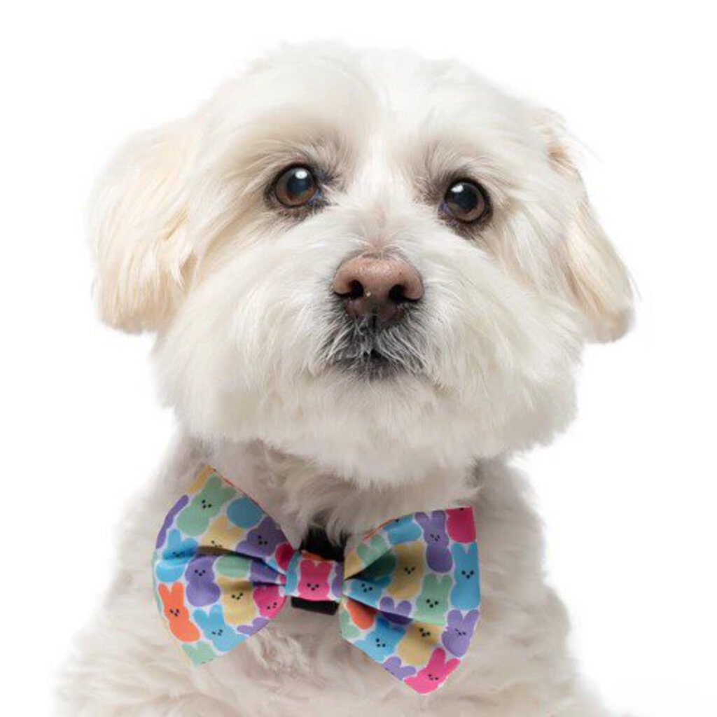 Easter Candy - Dog Bow Tie