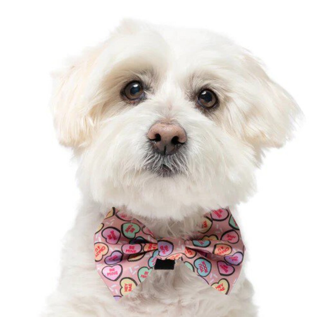 Candy Hearts - Dog Bow Tie